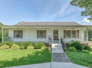 303 Spring House Ct, Mt Carmel, TN 37645