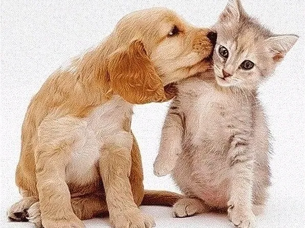 100-25 Queens Boulevard image 37 of 40