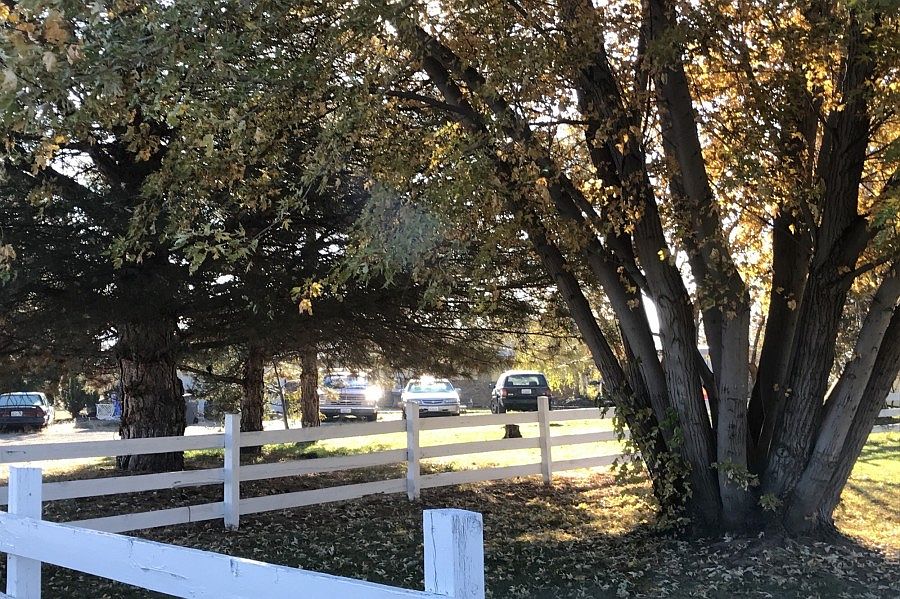 2nd image of 41 Lampe Ln