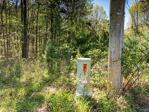 4th image of Off Of County Rd #106
