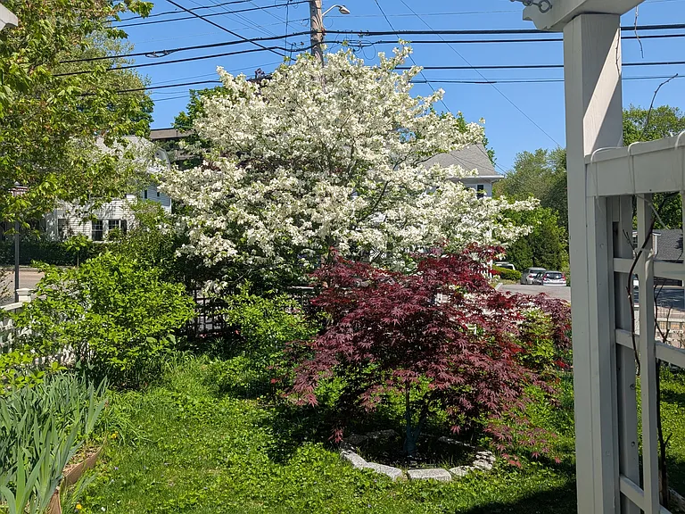 Hawthorne Rd — Photo 26