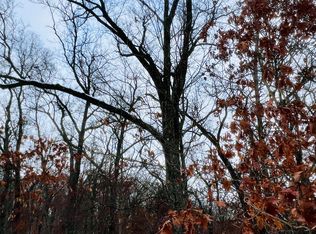 V/l South Ave #200, Fremont, MI 49412