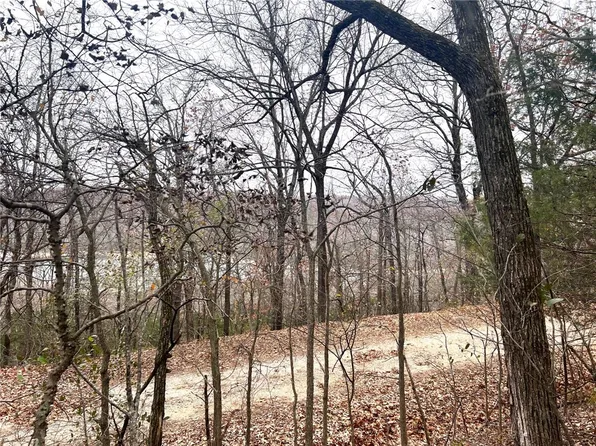 LOT 85 Shady Glen Rd, Garfield, AR 72732