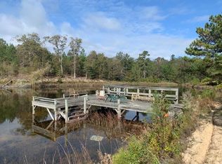 2499 Pineknot Rd, Box Springs, GA 31801