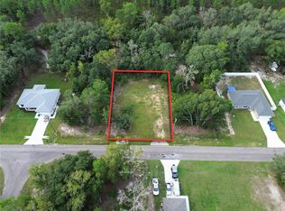 106 GUAVA PASS LOT 9, OCKLAWAHA, FL 32179