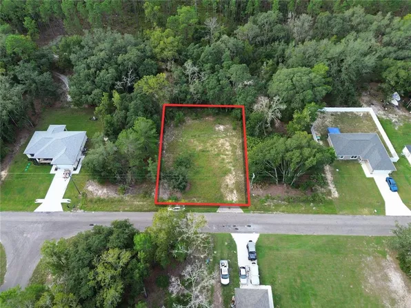 106 GUAVA PASS LOT 9, OCKLAWAHA, FL 32179