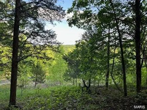 179 Stonesthrow Dr, Glencoe, MO 63038