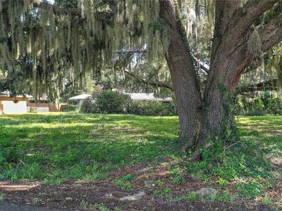 34 Orange Blossom Trl, Yalaha, FL, 34797