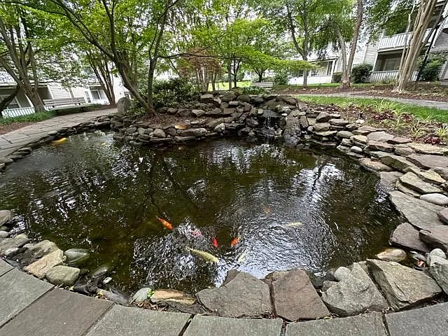 14313 Climbing Rose Way #205 — Photo 21