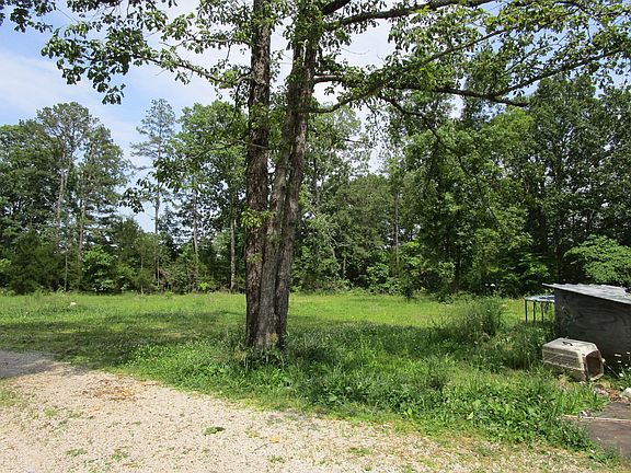 5th image of 15582 County Road 446
