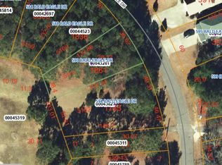 590 Bald Eagle Dr LOT 5161, Vass, NC 28394