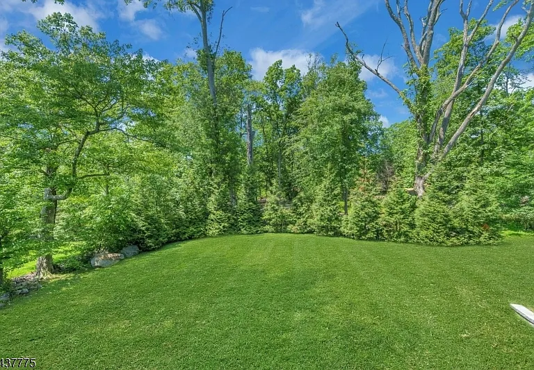 16 Exeter Rd — Photo 48