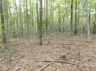 Cherry Creek Rd, Meadows Of Dan, VA 24120