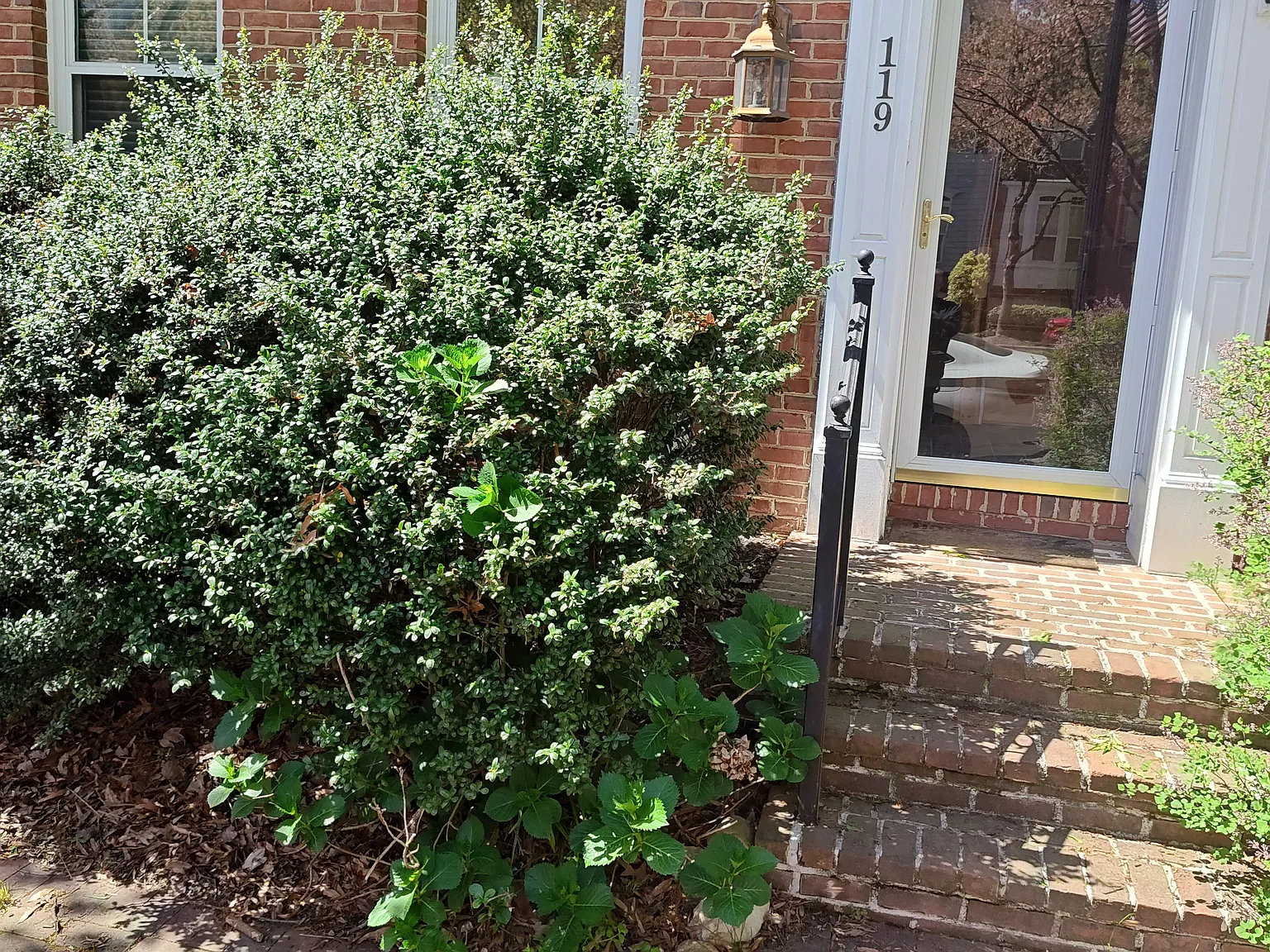 3 bed, 2440 sqft, $4,000 — Photo 2