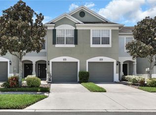 10139 Pink Palmata Ct, Riverview, FL 33578