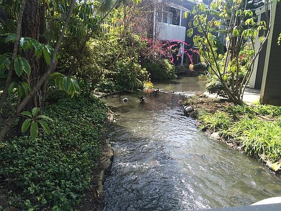 3rd image of 25423 Pine Creek Ln