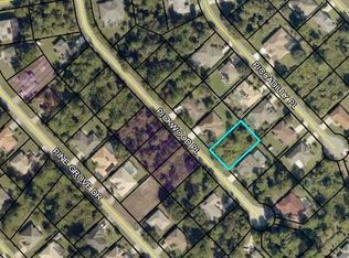 13 Pickwood Pl, Palm Coast, FL 32164