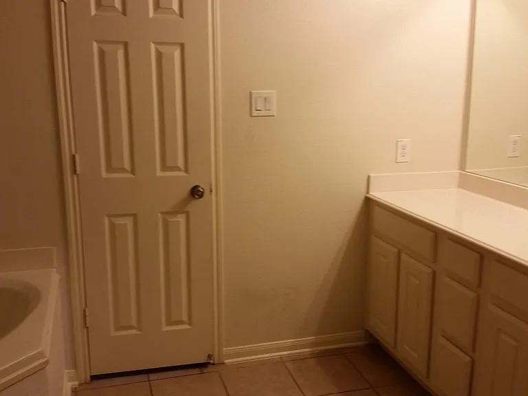 528 Misty Mountain Dr — Photo 8