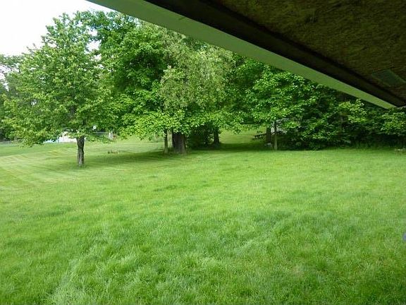 Nice yard next to woods a