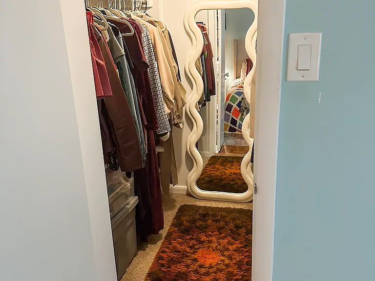 Primary bedroom's walk-in closet