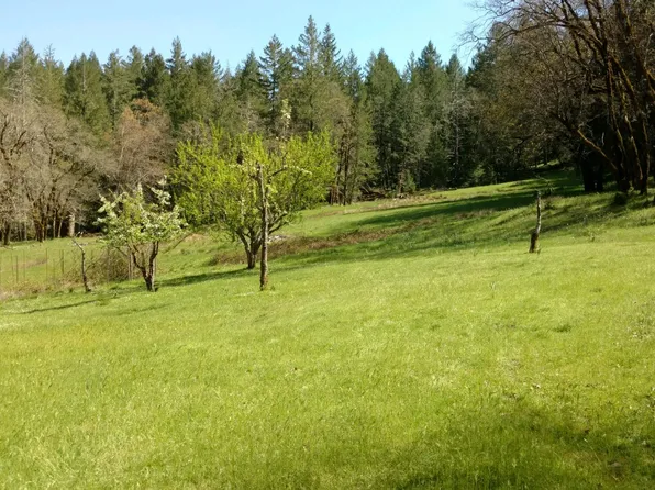 500 Shire Ln, Bridgeville, CA 95526