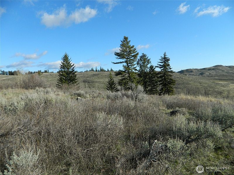 2nd image of 0 TBD Ellemeham Ridge Road