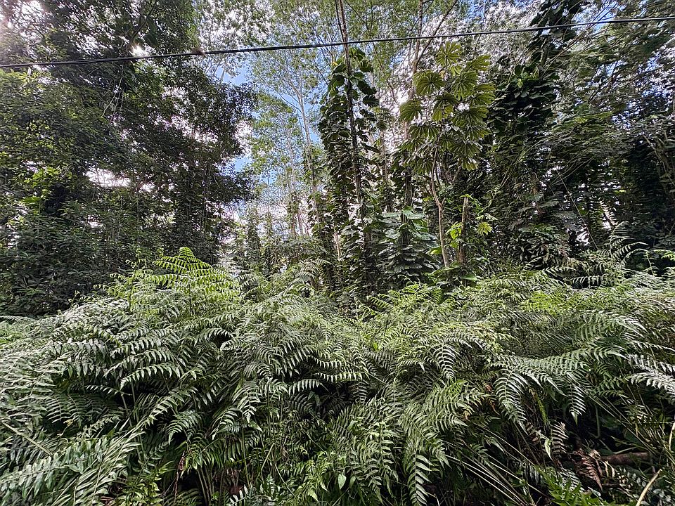 2nd image of Pakalana Rd
