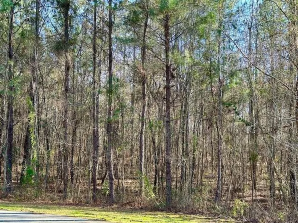 14 Oak Ridge Dr, Waverly Hall, GA 31831