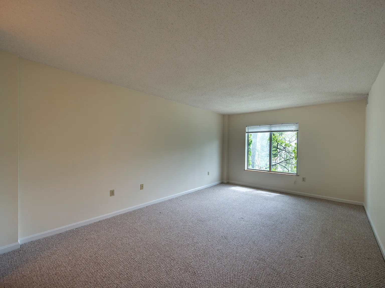 Davenport Apartments — Photo 3