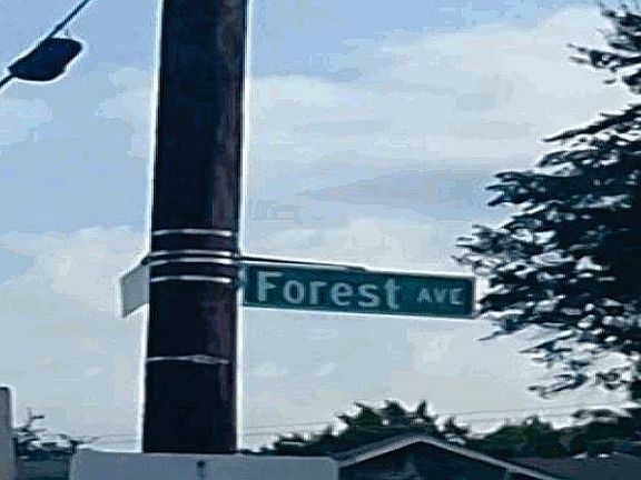 4th image of 1201 Forrest Ave