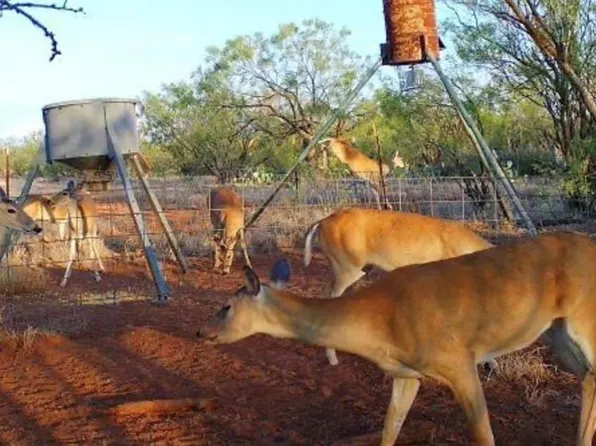 15008 County Road 234, Westbrook, TX 79565