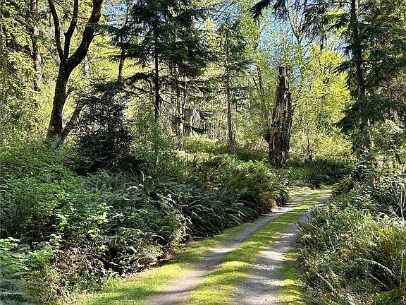 4th image of 4236 Goatsbeard Lane