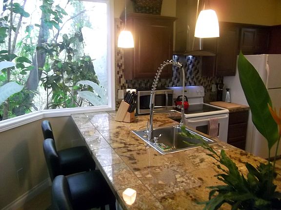 Jungle Cottage Kitchen