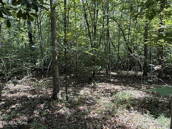2nd image of 18 Laurel Loop Lot 18