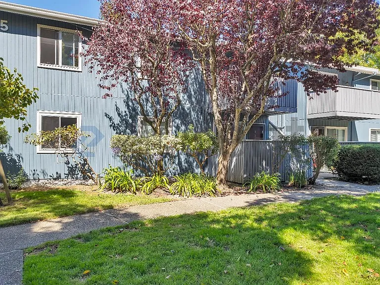 415 Piccadilly Pl #3 — Photo 2