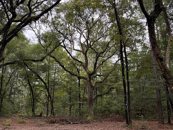 4th image of 5266 Choctaw Rd