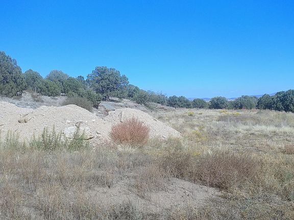 3rd image of 3330 W Brenda Trl
