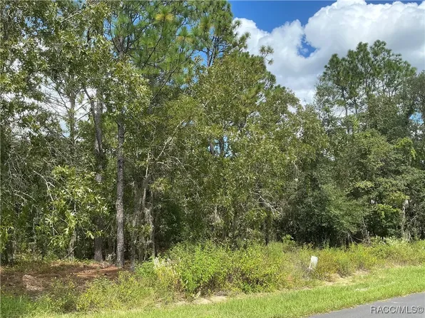 2519 E Marcia St, Inverness, FL 34453