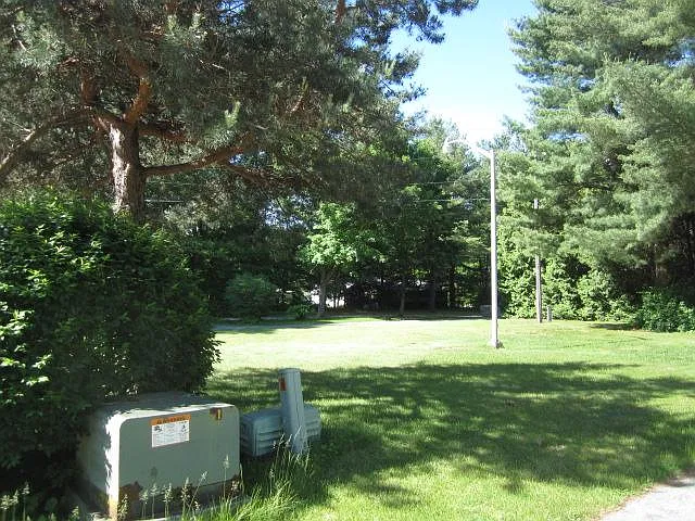 Forest Lane