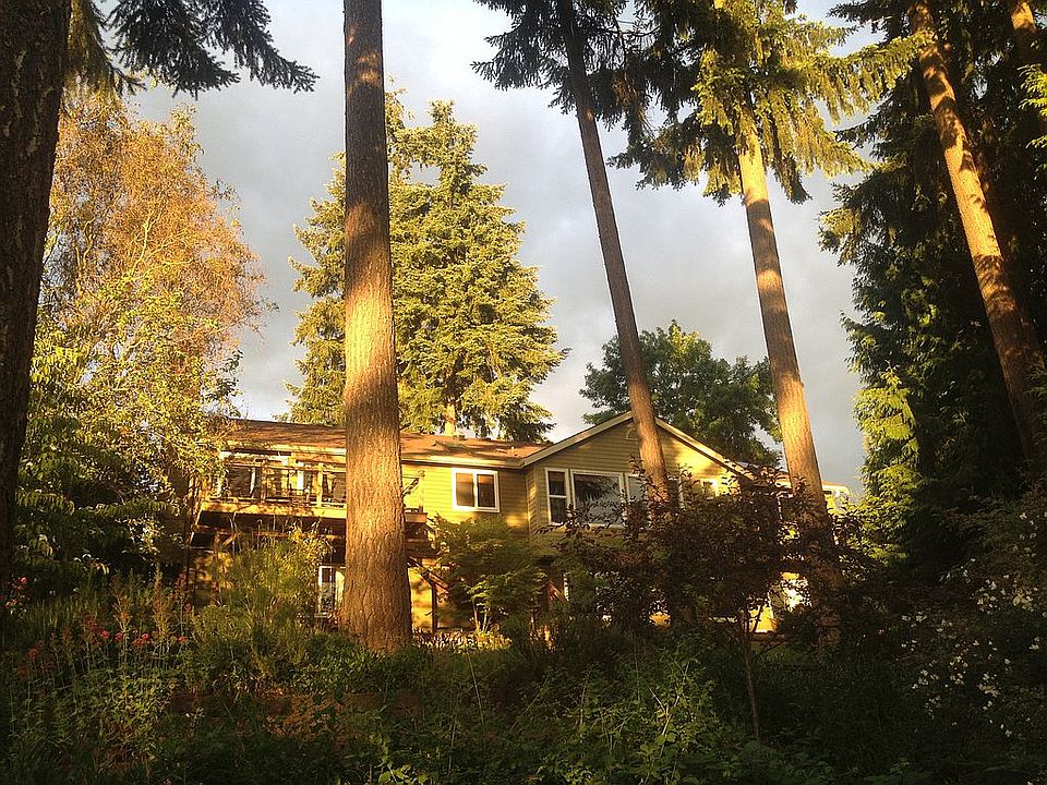 View from bottom yard