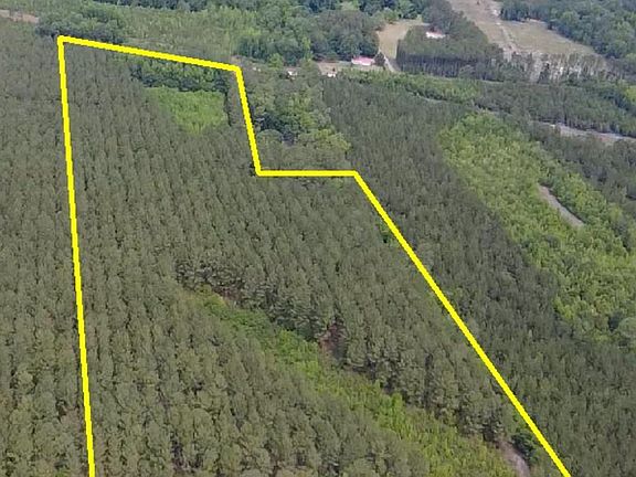 3rd image of 9214 Kingstree Hwy Tract A