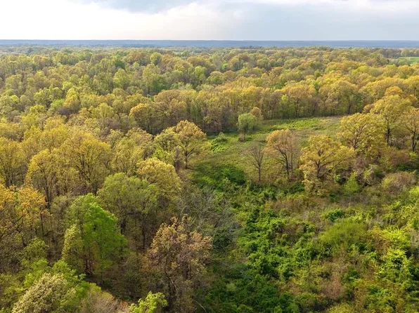 0 County Road 261, Advance, MO 63730