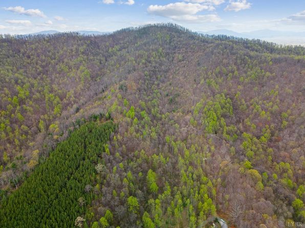 0 Wares Gap Rd, Monroe, VA 24574