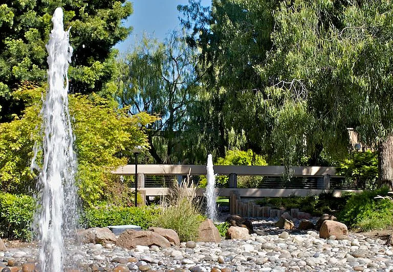 Lake Terrace — Photo 2