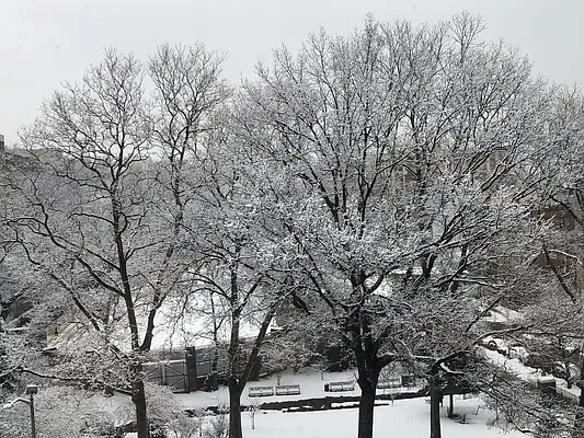 Sold by Triplemint | media 8