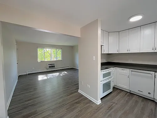 3741 Oak St #3747 Photo 1