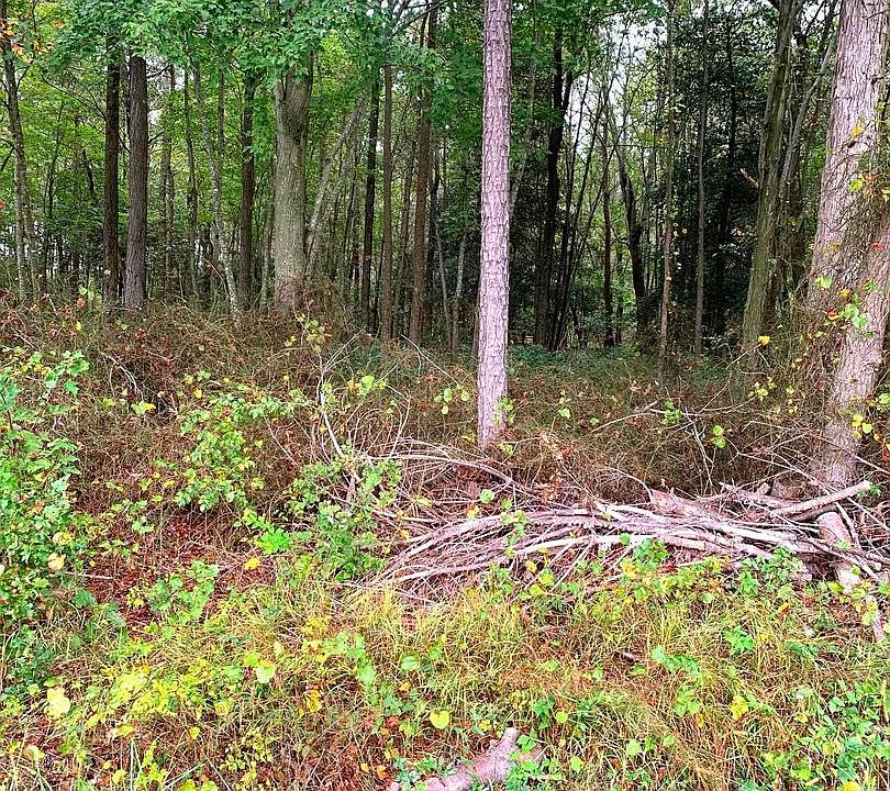 2nd image of Thompsontown Rd