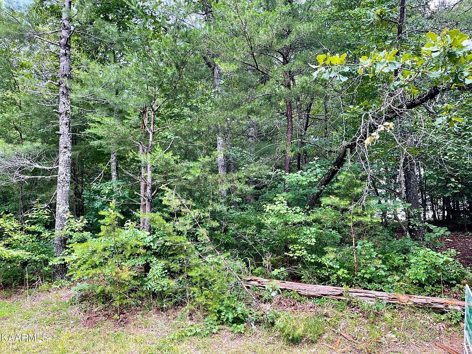 1st image of 133 Laswell Ln #10