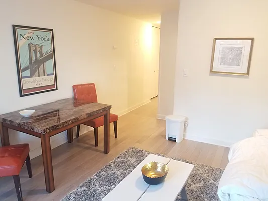 Rented by Manhattan Apartment Organization | media 12