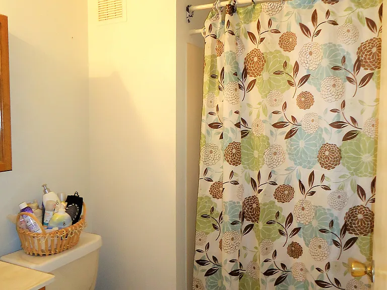 111 Timberlake Ter #3-1 — Photo 11